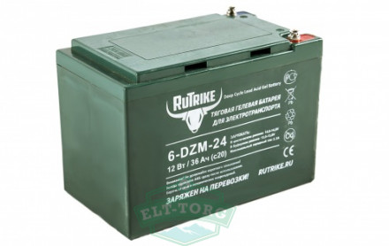 Тяговый гелевый аккумулятор  RuTrike 6-DZM-20 (12V20A/H C2)