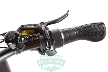 Электрофэтбайк для бездорожья VOLTECO BIGCAT DUAL NEW 2020 Электрофэтбайк для бездорожья VOLTECO BIGCAT DUAL NEW 2020