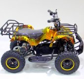 Электроквадроцикл Мини Барс 800 RC Саламандра Электроквадроцикл Мини Барс 800 RC Саламандра