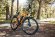Велогибрид Eltreco XT 750 Велогибрид Eltreco XT 750