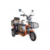 Пассажирский трицикл Rutrike Pass S2 Пассажирский трицикл Rutrike Pass S2