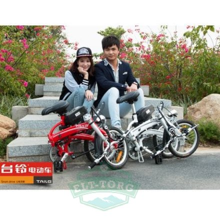 Электровелосипед TaiLG TDR 159Z 250W 36V8Ah Электровелосипед TaiLG TDR 159Z 250W 36V8Ah
