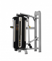BRONZE GYM MNM-017A Икры стоя