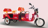 Электротрицикл TaiLG TDL800DQZ-71Z Электротрицикл TaiLG TDL800DQZ-71Z