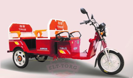 Пассажирский электротрицикл TaiLG TDL800DQZ-71Z Пассажирский электротрицикл TaiLG TDL800DQZ-71Z