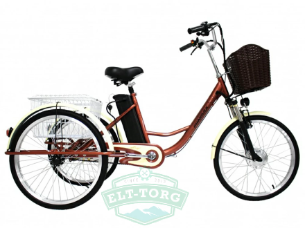 Электровелосипед GreenCamel Трайк-24 (R24 500W 48V 15Ah)