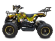 Электроквадроцикл GreenCamel Гоби K21 (36V 800W R6 Цепной привод)