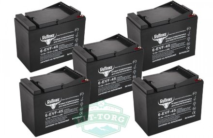 Комплект тяговых гелевых аккумуляторов RuTrike 6-EVF-45 (60V45A/H C3)