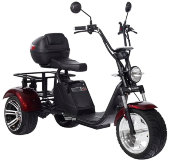 Электроскутер CityCoco SkyBoard Trike BR80 Электроскутер CityCoco SkyBoard Trike BR80