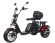 Электроскутер CityCoco SkyBoard Trike BR80 Электроскутер CityCoco SkyBoard Trike BR80