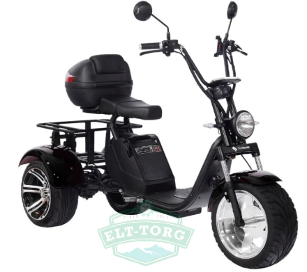 Электроскутер CityCoco SkyBoard Trike BR80 Электроскутер CityCoco SkyBoard Trike BR80