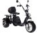 Электроскутер CityCoco SkyBoard Trike BR80 Электроскутер CityCoco SkyBoard Trike BR80