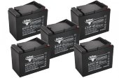 Комплект тяговых гелевых аккумуляторов RuTrike 6-EVF-55 (60V55A/H C3) Комплект тяговых гелевых аккумуляторов RuTrike 6-EVF-55 (60V55A/H C3)
