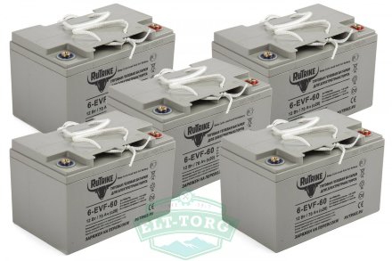 Комплект тяговых гелевых аккумуляторов RuTrike 6-EVF-60 (12V60A/H C3)