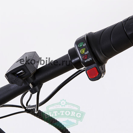 Электровелосипед Elbike Galant St 250W Электровелосипед Elbike Galant St 250W