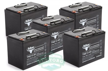 Комплект тяговых гелевых аккумуляторов RuTrike TNE 12-85 (12V80A/H C3)