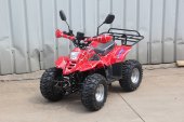 Электроквадроцикл MYTOY 1000E 1000 W Красный паук Электроквадроцикл MYTOY 1000E 1000 W Красный паук