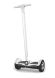 Сегвей SMART ZOOTER 700W