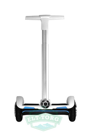Сегвей SMART ZOOTER 700W