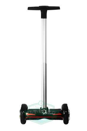 Сегвей SMART ZOOTER 700W