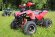 Электроквадроцикл MYTOY 1000D 1000 W Красный паук