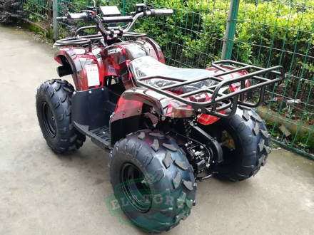 Квадроцикл GreenCamel Атакама T120 (48V 800W R8 Цепной привод) Квадроцикл GreenCamel Атакама T120 (48V 800W R8 Цепной привод)