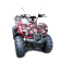 Квадроцикл GreenCamel Атакама T120 (48V 800W R8 Цепной привод) Квадроцикл GreenCamel Атакама T120 (48V 800W R8 Цепной привод)