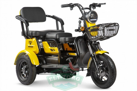 Электротрицикл Rutrike Бумеранг 1 Электротрицикл Rutrike Бумеранг 1