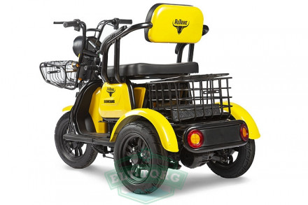 Электротрицикл Rutrike Бумеранг 1 Электротрицикл Rutrike Бумеранг 1