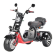Трехколесный электроскутер Citycoco WS-PRO+ TRIKE 3000W Трехколесный электроскутер Citycoco WS-PRO+ TRIKE 3000W