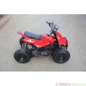 Электроквадроцикл EL-Sport Kids ATV 800W 36V/12Ah Электроквадроцикл EL-Sport Kids ATV 800W 36V/12Ah