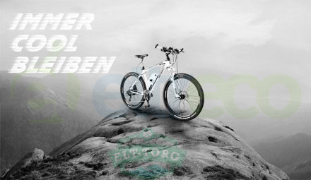 Электровелосипед Leisger ADV MD5-650-A+MB Электровелосипед Leisger ADV MD5-650-A+MB