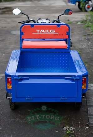 Электротрицикл TaiLG TL650DQZ-55Z Синий original