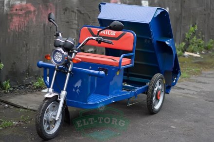 Электротрицикл TaiLG TL650DQZ-55Z Синий original