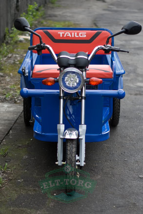 Электротрицикл TaiLG TL650DQZ-55Z Синий original