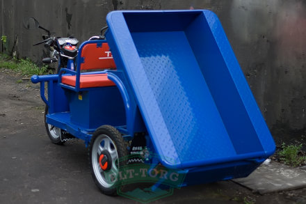 Электротрицикл TaiLG TL650DQZ-55Z Синий original