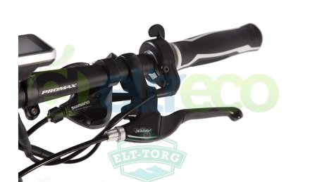 Велогибрид Leisger BASIC MD5-650-В+MB 350W Велогибрид Leisger BASIC MD5-650-В+MB 350W