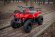 Электроквадроцикл MYTOY 800Z 800 W Красный
