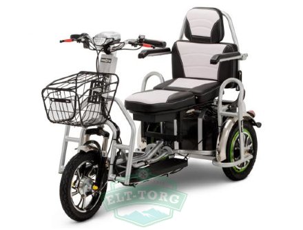 Трехколесный электроскутер Wellness Adjutant Maxi 600W 48V 20Ah