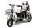 Трехколесный электроскутер Wellness Adjutant Maxi 600W 48V 20Ah