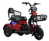 Электрический трицикл E-trike Donny Электрический трицикл E-trike Donny