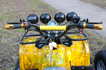 Электроквадроцикл MYTOY 800D-32 750W Желтый клен