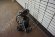 Adjutant 350w 48v12Ah Adjutant 350w 48v12Ah