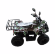 Электроквадроцикл VOLTRIX LEOPARD MAXI 1000 Электроквадроцикл VOLTRIX LEOPARD MAXI 1000