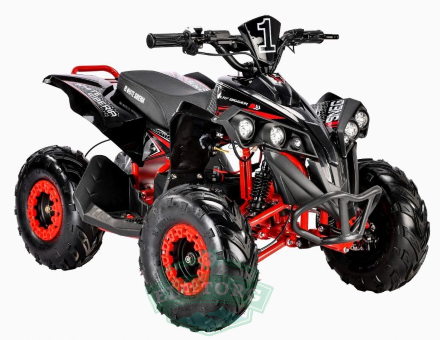 Электроквадроцикл WS-SNEG R 1500W Электроквадроцикл WS-SNEG R 1500W
