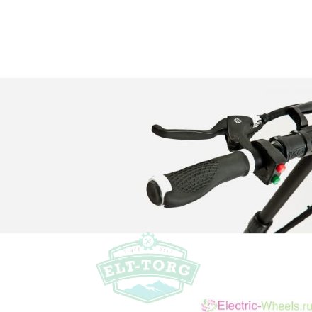 Детский электросамокат EL-Sport Mini GoGo 500W (48V/18Ah)