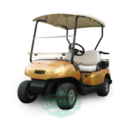 Гольфкар Eway hm2 Гольфкар Eway hm2