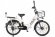 Электровелосипед GREEN CITY e-ALFA new Электровелосипед GREEN CITY e-ALFA new