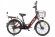 Электровелосипед GREEN CITY e-ALFA new Электровелосипед GREEN CITY e-ALFA new